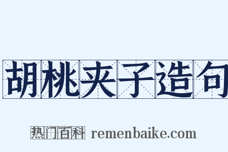 胡桃夹子造句是什么意思的图片
